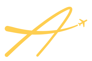 International Fly Guy